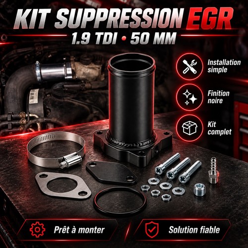 Kit riparazione valvola egr - kit,