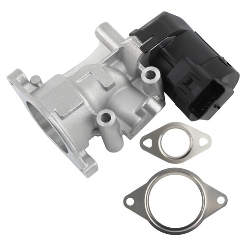 Vanne egr for citroen - for,