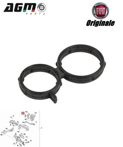 Guarnizione valvola egr - guarnizione,